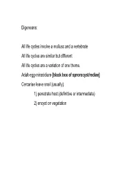 Lecture 18 Feb 24 Shisto.Pdf