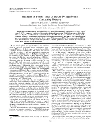 Synthesis of Potato Virus X Rnas by Membrane- Containing Extracts