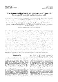 Diversity Analysis, Identification, and Bioprospecting of Lactic Acid Bacteria (LAB) Isolated from Sumbawa Horse Milk