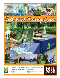 Fall 2020 Activity Guide