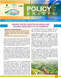 Policy Brief