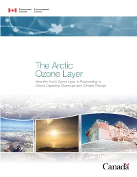 The Arctic Ozone Layer