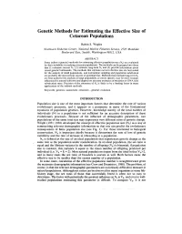 Genetic Methods for Estimating the Effective Size of Cetacean Populations