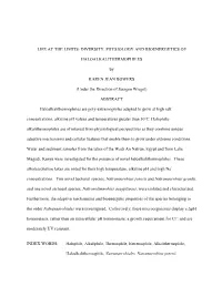 Literature Review