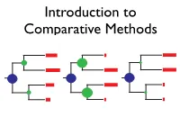 BM CC EB What Can We Learn from a Tree?