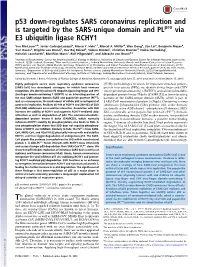 P53 Down-Regulates SARS Coronavirus Replication and Is Targeted by the SARS-Unique Domain and Plpro Via E3 Ubiquitin Ligase RCHY1