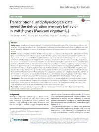 Transcriptional and Physiological Data Reveal the Dehydration Memory