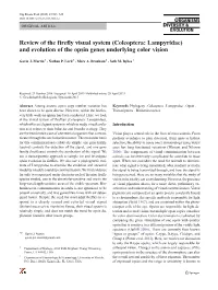 (Coleoptera: Lampyridae) and Evolution of the Opsin Genes Underlying Color Vision