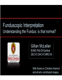 Funduscopic Interpretation Understanding the Fundus: Is That Normal?