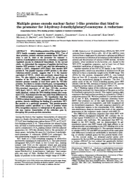 Multiple Genes Encode Nuclear Factor 1-Like Proteins That Bind To