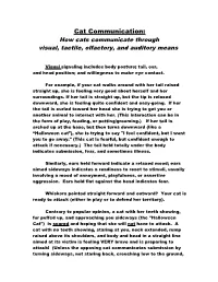 Cat Communication: How Cats Communicate Through Visual, Tactile, Olfactory, and Auditory Means
