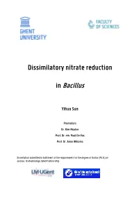 Dissimilatory Nitrate Reduction in Bacillus Copyright ©2017, Yihua Sun ISBN-Number: 978-94-6197-486-0 All Rights Are Reserved
