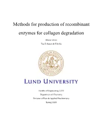 Methods for Production of Recombinant Enzymes for Collagen Degradation