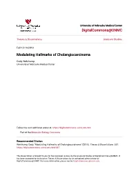 Modulating Hallmarks of Cholangiocarcinoma