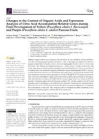 Changes in the Content of Organic Acids and Expression Analysis of Citric Acid Accumulation-Related Genes During Fruit Development of Yellow (Passiﬂora Edulis F