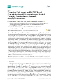 Extraction, Enrichment, and LC-Msn-Based Characterization of Phlorotannins and Related Phenolics from the Brown Seaweed, Ascophyllum Nodosum