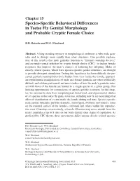 Species-Specific Behavioral Differences in Tsetse Fly Genital