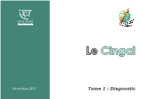 Tome 1 : Diagnostic