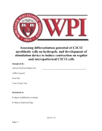 Assessing Differentiation Potential of C2C12 Myoblastic Cells On