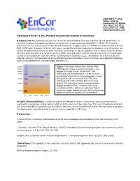 Catalogue# Prot-Ra-Int: Purified Recombinant