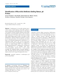 Identification of Macrolide Antibiotic-Binding Human P8 Protein