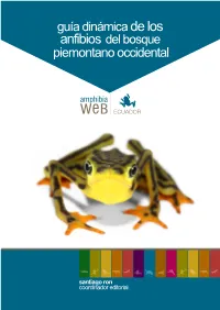 Piemontano Occidental