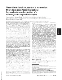 Three-Dimensional Structure of a Mammalian Thioredoxin Reductase: Implications for Mechanism and Evolution of a Selenocysteine-Dependent Enzyme
