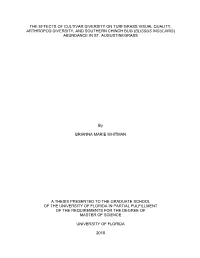 University of Florida Thesis Or Dissertation Formatting
