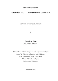 Aspects of Kung Grammar