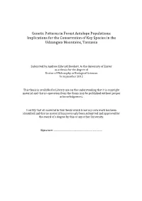 Implications for the Conservation of Key Species in the Udzungwa Mountains, Tanzania