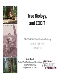 Tree Biology, and CODIT