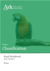 Classification