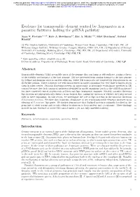 Evidence for Transposable Element Control by Argonautes in a Parasitic Flatworm Lacking the Pirna Pathway