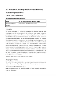 RT² Profiler PCR Array (Rotor-Gene® Format) Human Glycosylation