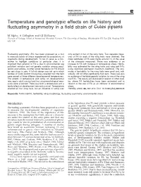 Temperature and Genotypic Effects on Life History and Fluctuating Asymmetry in a Field Strain of Culex Pipiens