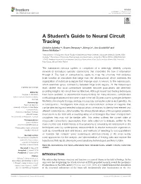 A Student's Guide to Neural Circuit Tracing