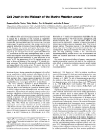 Cell Death in the Midbrain of the Murine Mutation Weaver