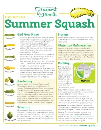 Classroom Bites Summer Squash Did You Know Storage • Zucchini Is the Most Common Variety of Summer Store Summer Squash in a Perforated Plastic Bag Squash