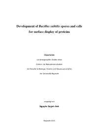 Development of Bacillus Subtilis Spores and Cells for Surface Display of Proteins
