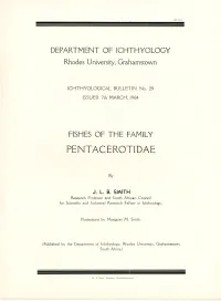 Pentacerotidae