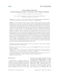 Understanding Processes of Recovery of the Tibetan Antelope 1 C