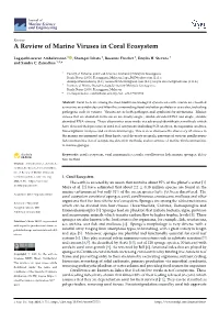 A Review of Marine Viruses in Coral Ecosystem