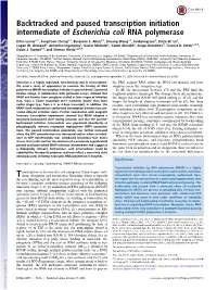 Backtracked and Paused Transcription Initiation Intermediate of Escherichia Coli RNA Polymerase