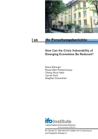 How Can the Crisis Vulnerability of Emerging Economies Be Reduced?