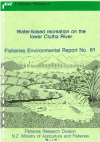 Lower Clutha River