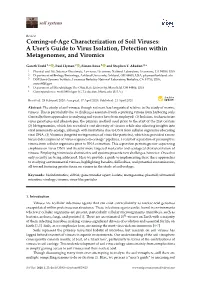 Coming-Of-Age Characterization of Soil Viruses: a User's Guide To