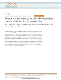 Tension on the Linker Gates the ATP-Dependent Release of Dynein from Microtubules
