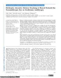 Dichoptic Attentive Motion Tracking Is Biased Toward the Nonamblyopic Eye in Strabismic Amblyopia