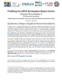 Fulfilling the UN75 Declaration Expert Series Experts Roundtable 3