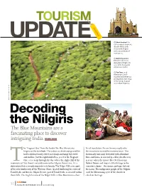 Decoding the Nilgiris TOURISM